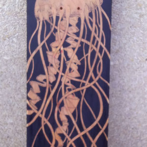 Skateboard Medusa - 2013